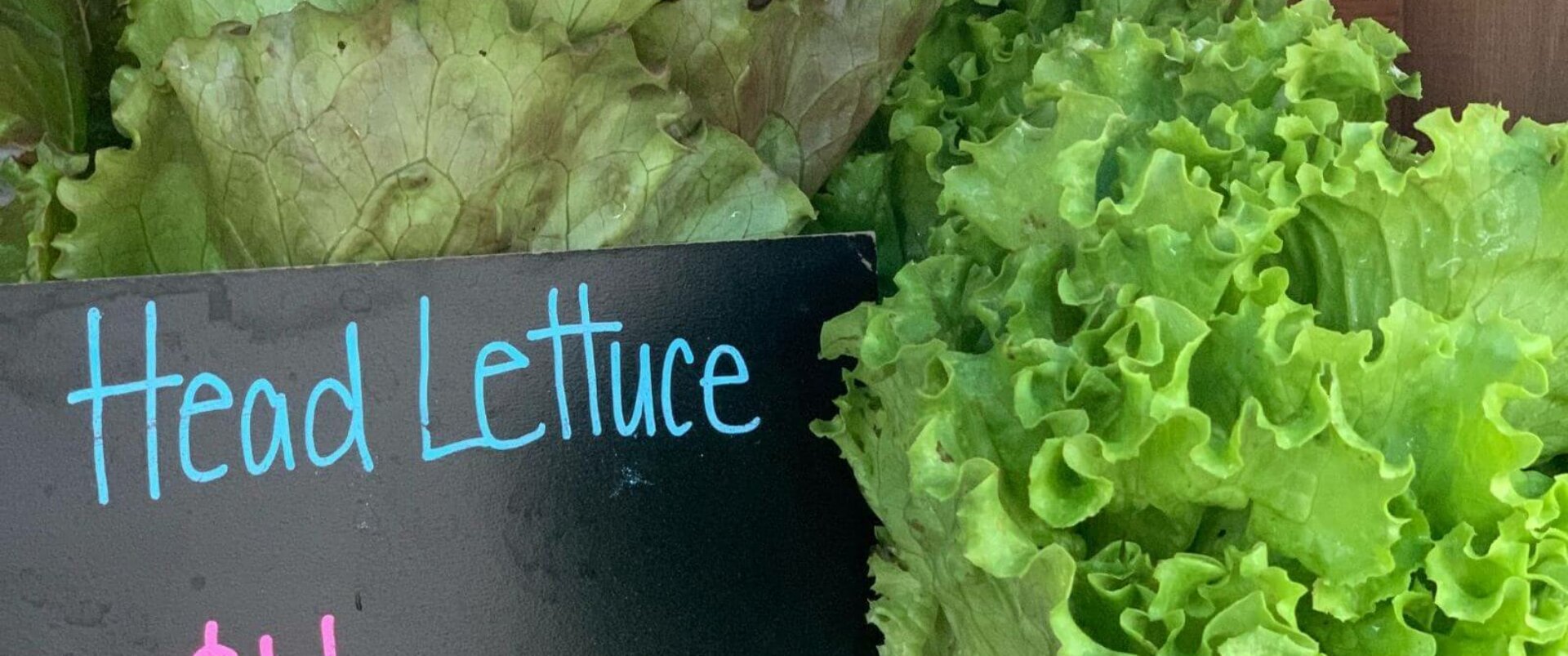 Baraboo Farmer's Market Opening Day Downtown Baraboo