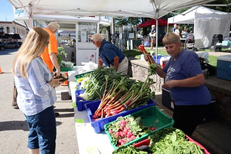 Shopper seeks fresh veggies at Downtown Baraboo Farmer's Market.