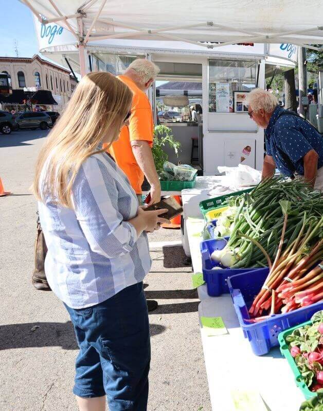 Shopper seeks fresh veggies at Downtown Baraboo Farmer's Market.