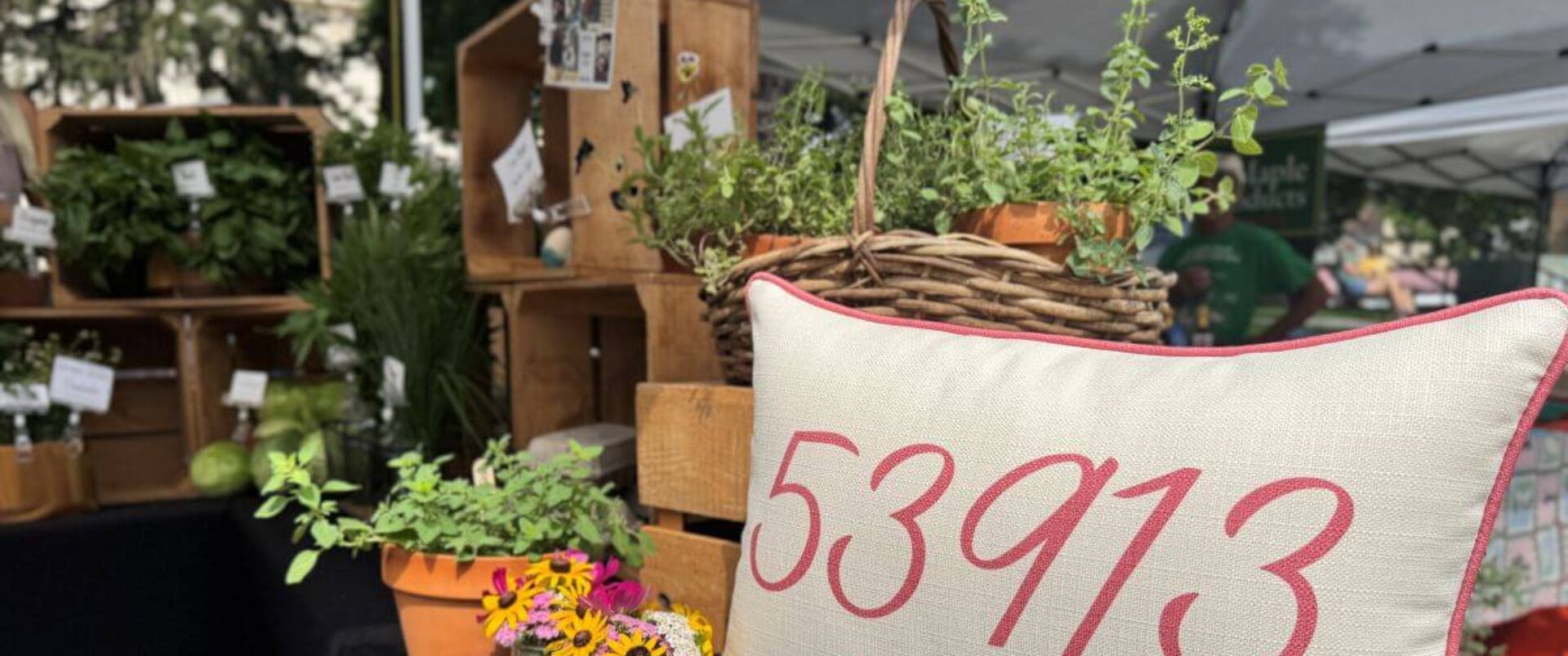 A fall pillow and plants on a table at a market in downtown Baraboo.